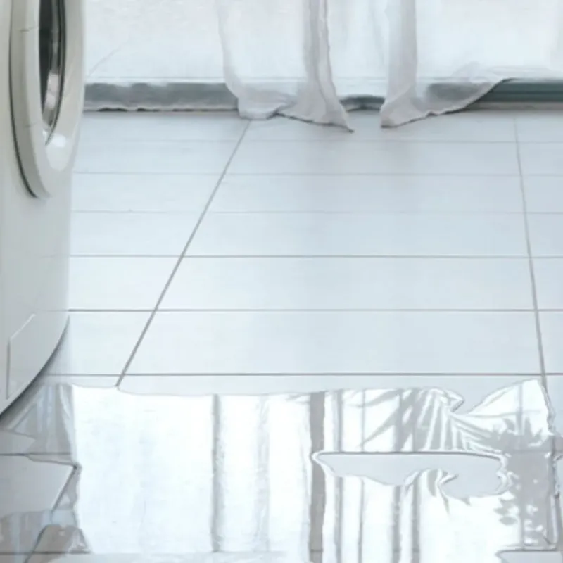 Appliance Leak Cleanup in Southgate, FL